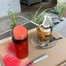 청두곶길 78 | 2025. Sep