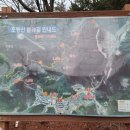 호랑산 둘레길 이미지