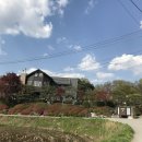 솔빛예쁜펜션 이미지