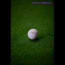 원일베네스트 이미지