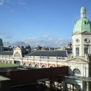 도그필드 이미지