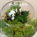 송파나루(문화실험공간 호수) | 문화실험공간 호수 테라리움 만들기 원데이클래스 후기