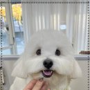 코트니룸 이미지