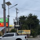 식구 | 보홀 필리핀 퓨전 식당 seaku 식구 내돈내산 후기