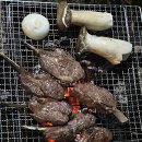 달빛고운병곡캠핑장 이미지