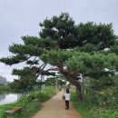 화서역 5번출구 이미지