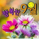 신바람 하모니카 이미지