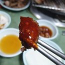 산호숯불아나고곰장어