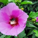 양유정어린이공원 이미지