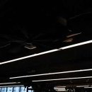 와일드짐 이미지