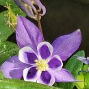 서문세탁소 이미지