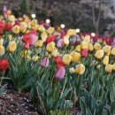 동화 문화센터 화장실 이미지