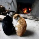 옹기종기 이미지