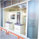 대구강아지분양 홍스퍼피 이미지