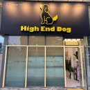 하이엔드 독 이미지