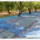 도진농장 이미지