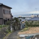 하마모터스 | 오아라이 여행기 5th - 첫 날의 끝