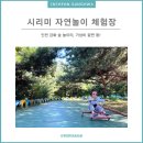 인천 강화, 숲 놀이터 [시리미 자연놀이 체험장] 놀 거리 가득!