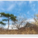 곡선재
