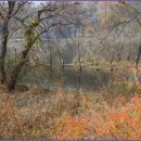 로하스 해피로드 이미지