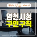 영천시청 티스토리