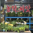 포항농약종묘사 네이버블로그