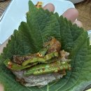 고양장충동한양족발 | 백석역 족발맛집 장충동한양할머니족발 | 지금까지 먹어본 족발 중 가장 부드러운 식감 🐷