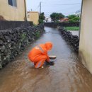 나무마당 이미지