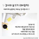 감사의 삶 5기 ＜84일차＞ (11/23) 이미지