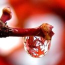 좋은사이 이미지