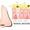 신평한의원 이미지