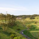 자유로스크린골프 이미지