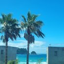 법환동-7 | [제주 티아일랜드 펜션]... 제주 서귀포 법환동