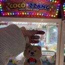 (주)오백상회