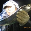 도화낚시 이미지