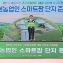 청년팜