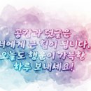 롤킹롤러스케이트 네이버블로그