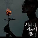 유타카 이미지