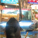 유달식당