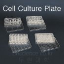 두현과학 이미지