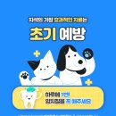모코동물의료센터 이미지