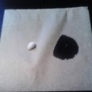 CW-1518-01 이미지