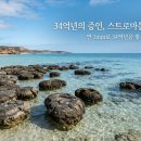 스트로마톨라이트 | 34억년의 증인 스트로마톨라이트, 연 1mm의 고집이 지구 대기를 만들었다