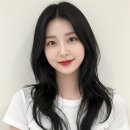 알지헤어