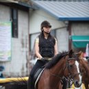 동서울 승마장 이미지