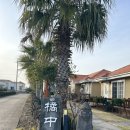 귤중옥 | [귤중옥]제주 서귀포 조식 포함 가성비 좋은 숙소 후기