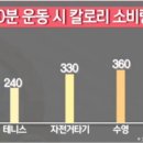슬림핏점핑다이어트 이미지