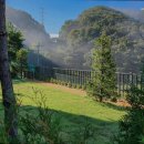 포리애견 이미지