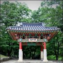중부-현장-중부-1336 | 강원도 고성 8경 사찰 금강산 건봉사 절 가볼만한곳 진신치아사리 능파교 불이문 맛집(건봉막국수)/GO성...