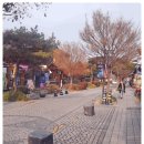 미래여행사주 - 논산시 중앙로 397 | 미래여행사주